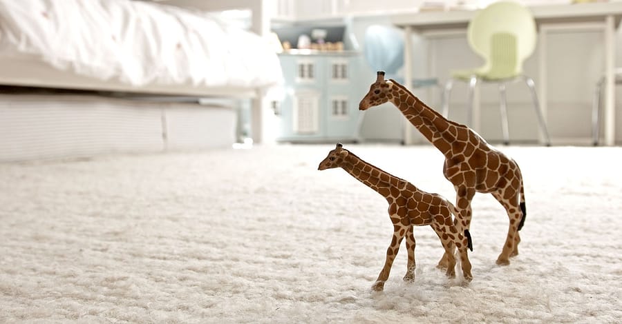 Carpet Cleaning Dubai other Shop Online at Dubai Trades 2