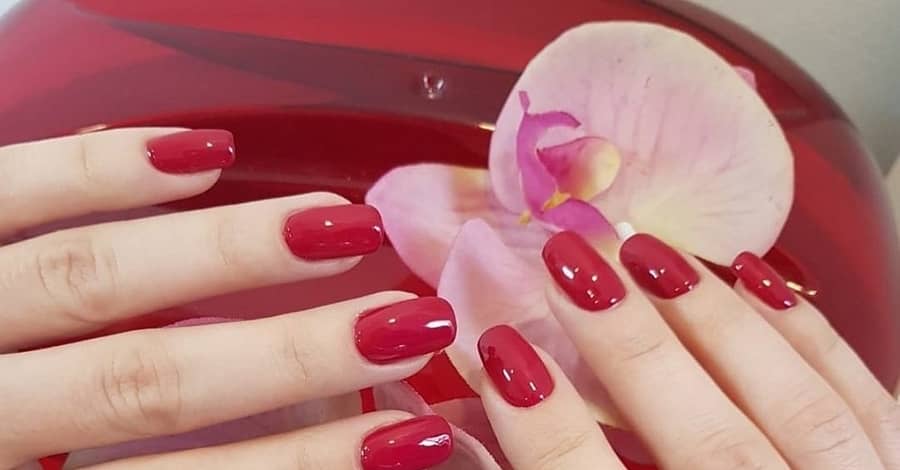 Classic Colour Mani-Pedi Abu Dhabi other Shop Online at Dubai Trades 2