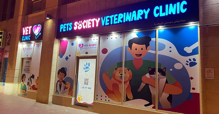 Discover Annual Vaccination, Deworming, Check-Up & More For Pets Dubai other Shop Online at Dubai Trades 2