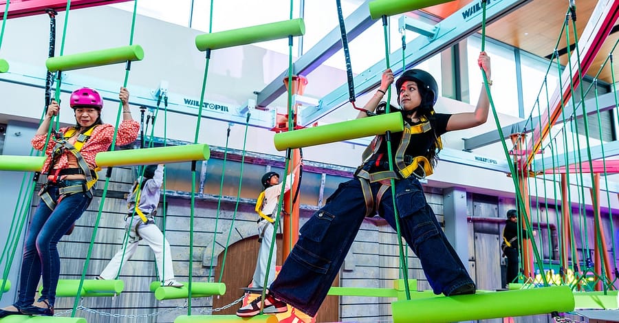 Exciting Canopy Trail For One, Two, Four People Dubai other Shop Online at Dubai Trades 2
