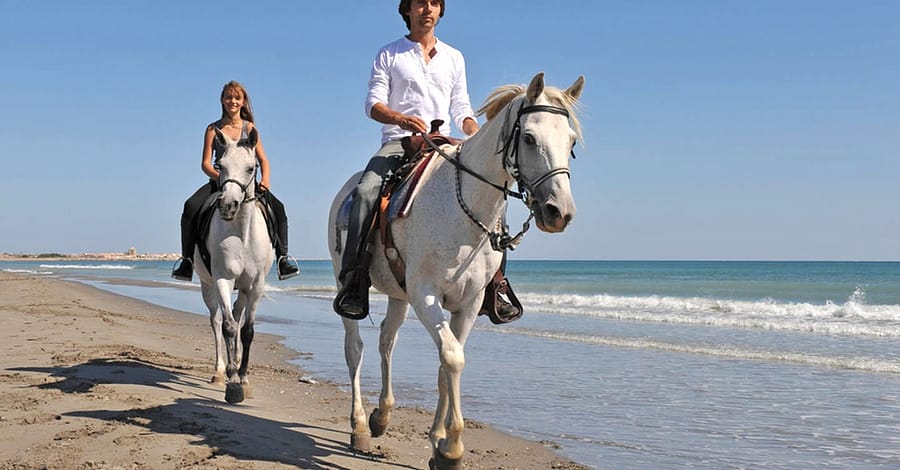 One Hour Beach Horse Riding Experiences At Al Sultan Equestrian Club Abu Dhabi activities Shop Online at Dubai Trades 2