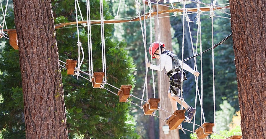 Personalized Obstacle Course Skills Training For Kids & Adults Dubai other Shop Online at Dubai Trades 2