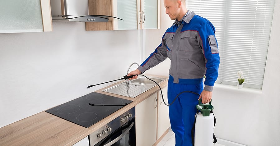 Pest Control Service Abu Dhabi other Shop Online at Dubai Trades 2