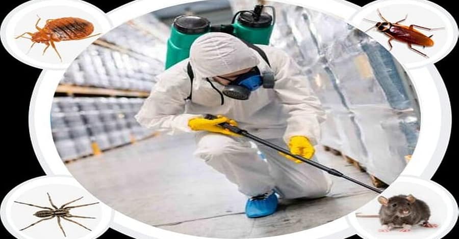 Pest Control Service – General Dubai other Shop Online at Dubai Trades 2