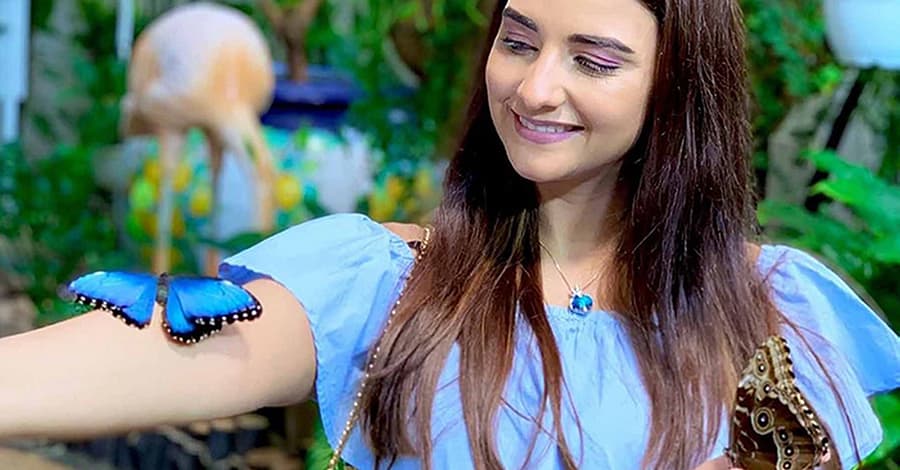 Discover Vibrant Colors W/ Dubai Butterfly Garden Pass:1, 2,/ 4 Adults Dubai package Shop Online at Dubai Trades 2