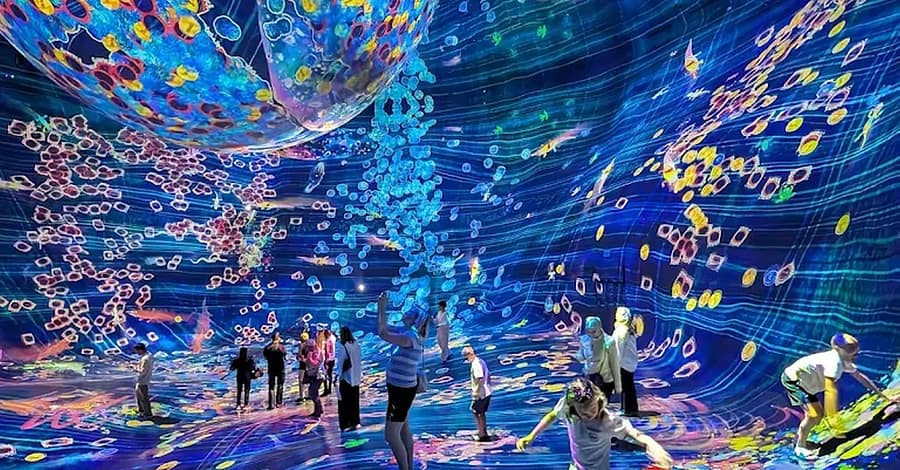 Explore Teamlab Phenomena General Admission For Adults And Youths Abu Dhabi package Shop Online at Dubai Trades 2