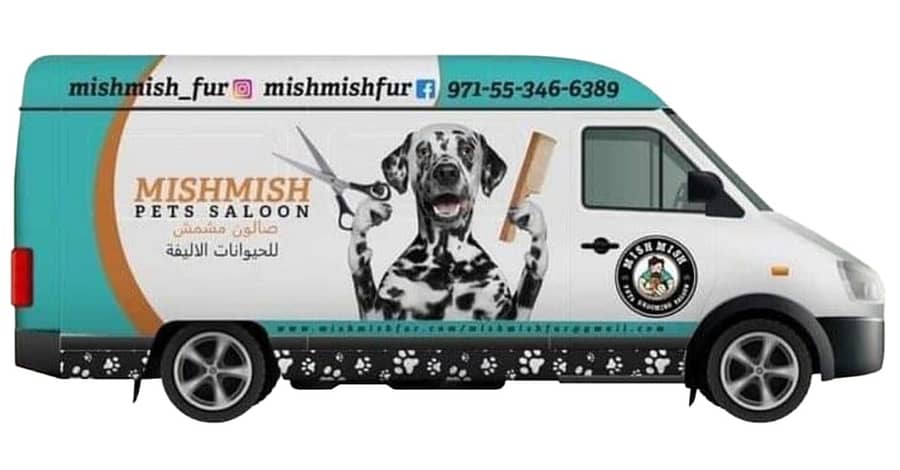 Mobile Pet Grooming For Cats And Dogs Of All Sizes With Full Or Basic Dubai other Shop Online at Dubai Trades 2