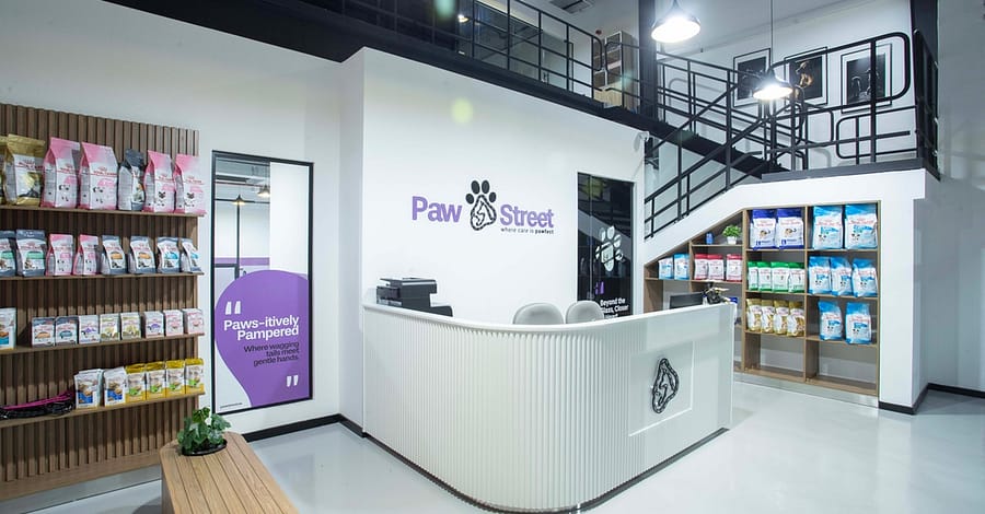 Pamper Your Pet Basic Or Full Grooming For Small To Xl Dogs Or Cats Dubai other Shop Online at Dubai Trades 2