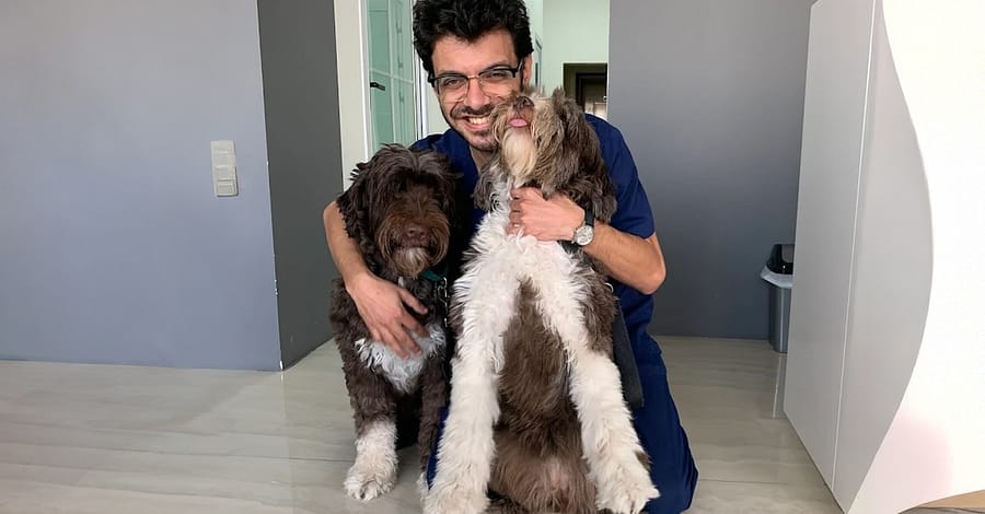 Take Care Of Your Pet: Vaccination Or Preventive Care Package Dubai other Shop Online at Dubai Trades 2