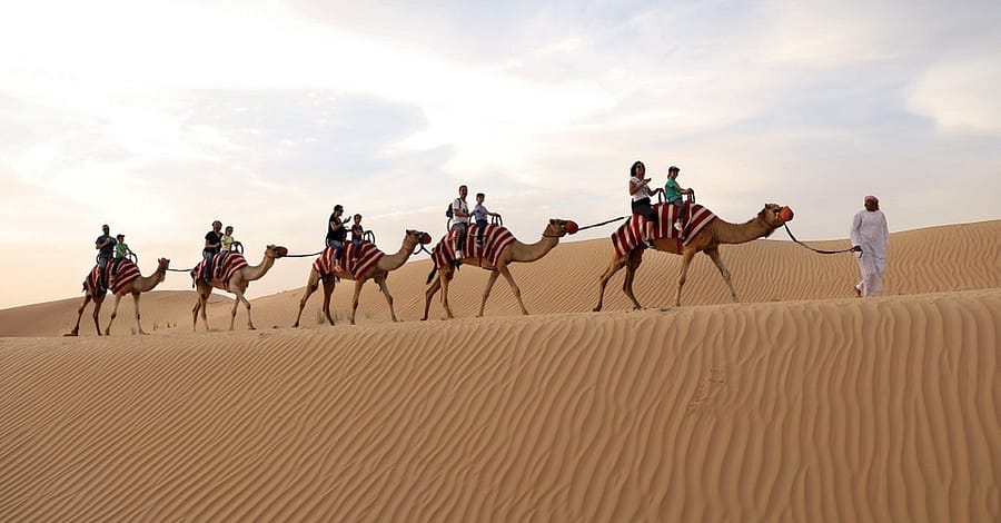 Tour – Bike Dubai activities Shop Online at Dubai Trades 2