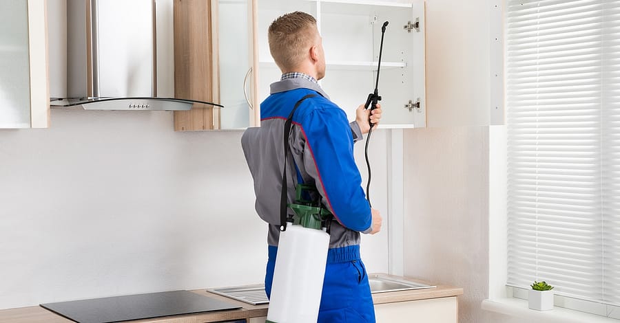 Pest Control For Studio, Upto 4 Bedroom Apartment Or Upto 5 Villa! Dubai other Shop Online at Dubai Trades 2