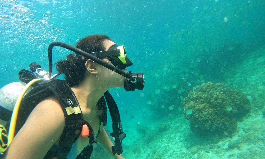 Embark On Adventure: Try Dive, Snorkeling Trip And Boat Trip Dubai activities Shop Online at Dubai Trades 2