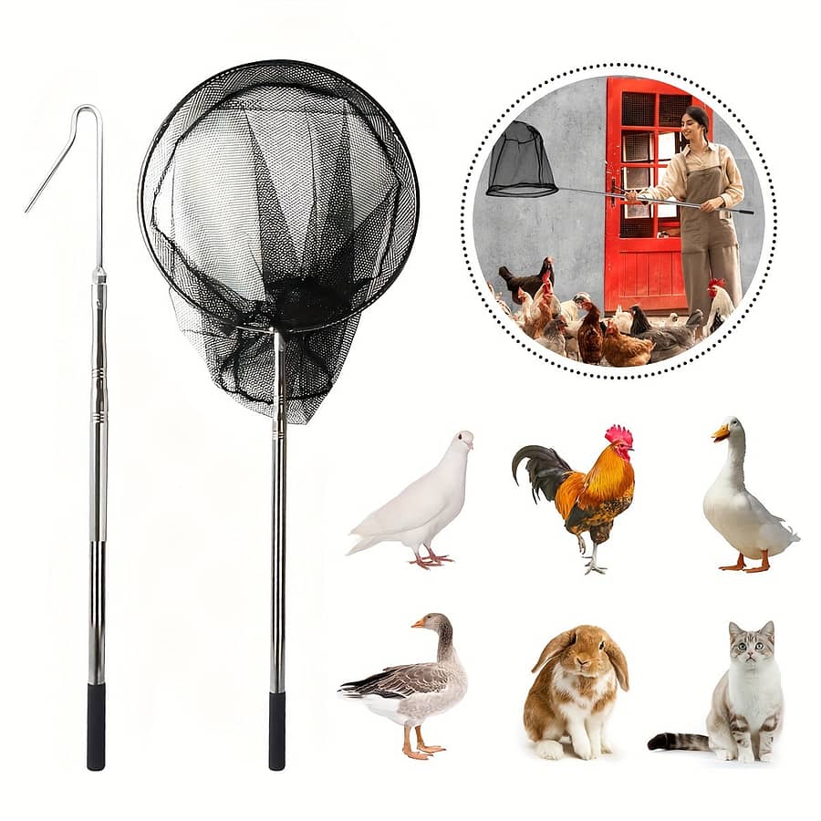 1 Set, Extendable Chicken Leg Hook With Chicken Net 2in 1 Stainless Steel Poultry Hook , Handle Tool For Catching Poultry Chicken Turkeys Ducks Fish Farm & Ranch Shop Online at Dubai Trades 2