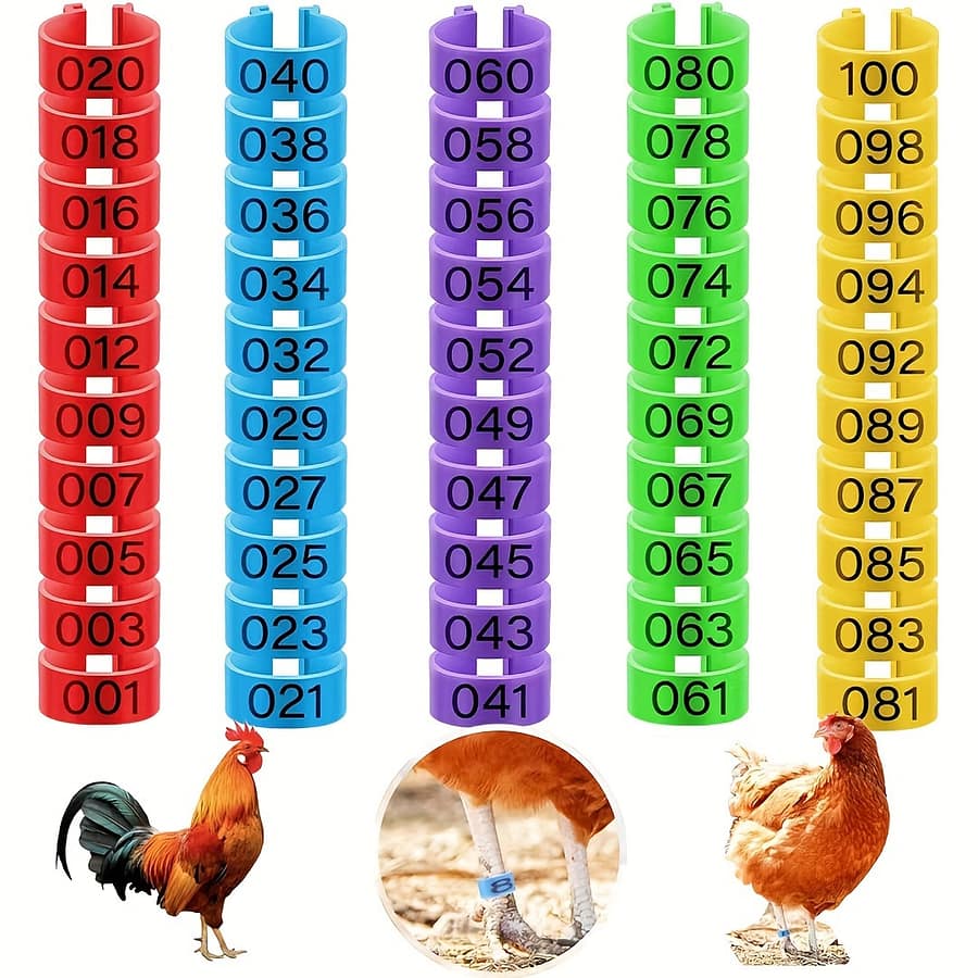100pcs Chicken Leg Rings With 5 Colors, Chicken Leg Bands Colorful Poultry Leg Bands, Clip-on Chicken Ankle Rings For Ducks Chicks Chicken Guinea Pigeons Goose Birds Shop Online at Dubai Trades 2