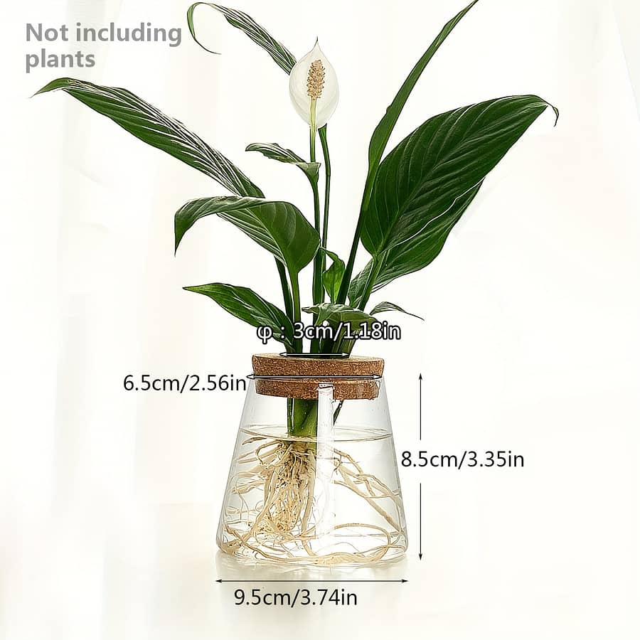 1pc, Glass Planter Propagation Station Vase Rack Tabletop Hydroponic Plants Office Home Decoration Gardening & Lawn Care Shop Online at Dubai Trades 2