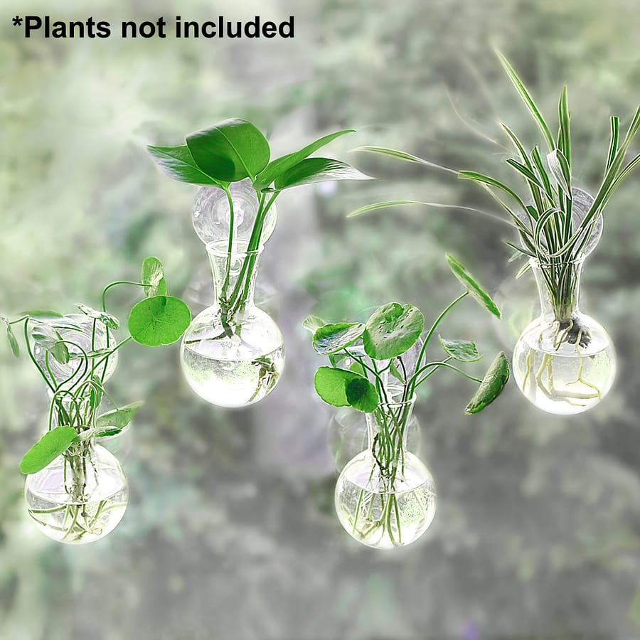 4pcs Window Plant Propagation Stations, Bulb Vase With Suction Cups – No Nails, Glass Plant Hanging Terrarium, Glass Hydroponics Plant Containers, Office Home Decor Home & Kitchen Shop Online at Dubai Trades 2