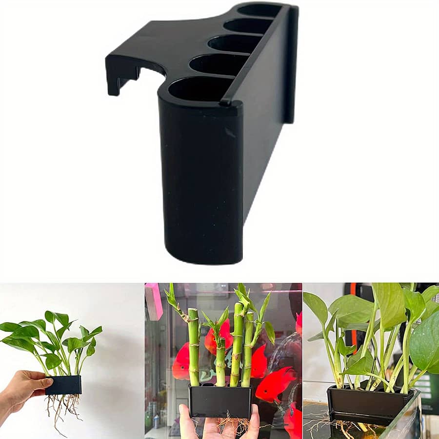 Your Aquarium With An Plant Holder – Emersed Plants, Fish, And Shrimp! Aquarium Décor Shop Online at Dubai Trades 2